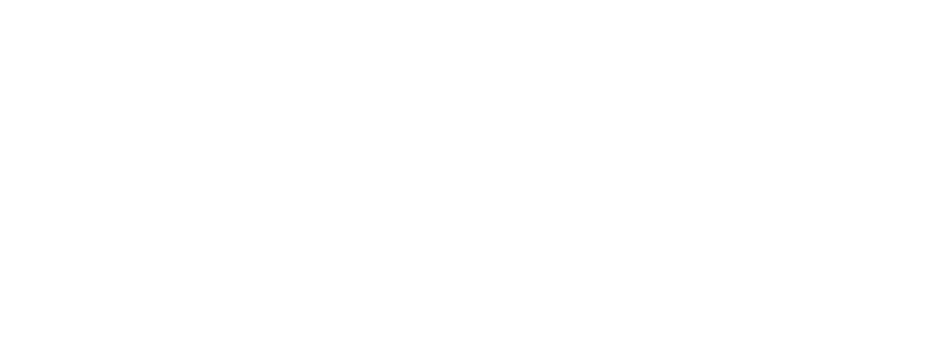 MegaDent